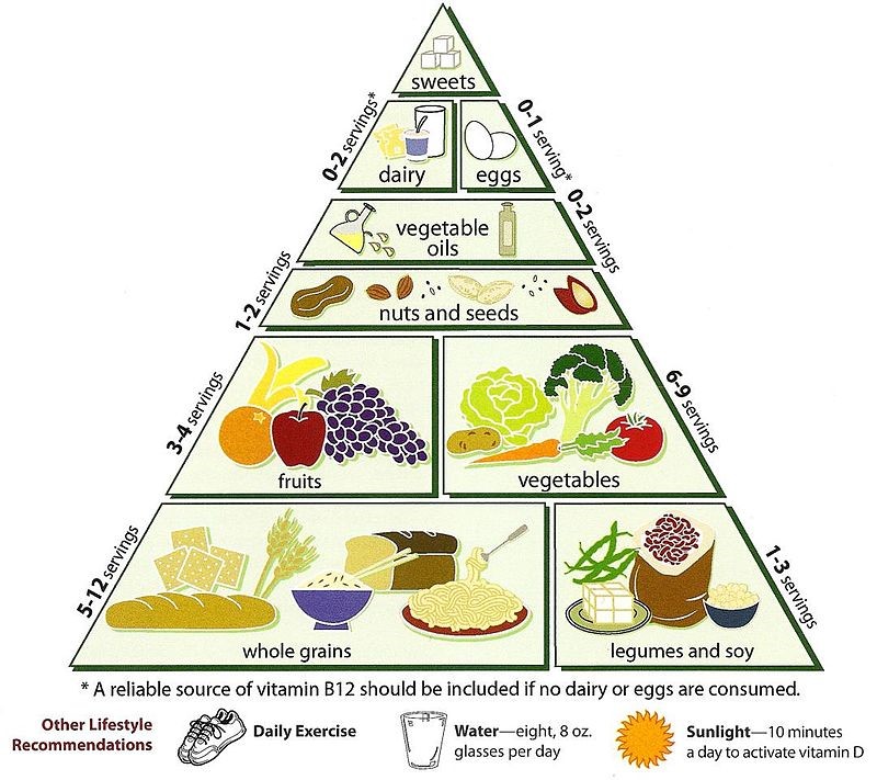 7. Principles of basic nutrition to client care. | Aplmed Academy