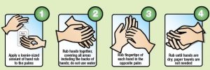 Proper Hand Washing 3